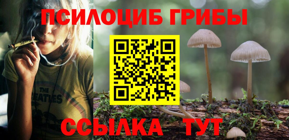 Среднеуральск  купить закладку  Вход с VPN  Галлюциногенные грибы мицелий 